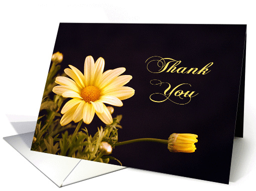 Thank You Card with Yellow Daisies card (202017)