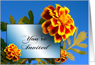 General Party Invitation with Marigold Flowers card