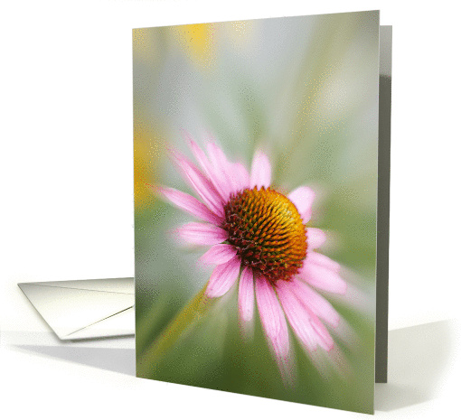 Blank Note Card Greeting Card with Pink Cone Flower card (222193)