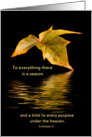 Leaf Reflection Greeting Card, Religious, Ecclesiastes 3:1 card