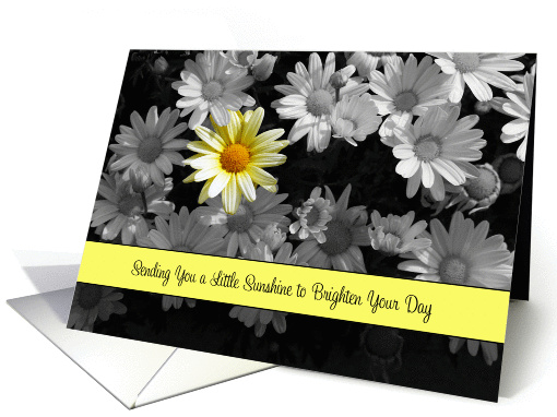 Thinking of You Greeting Card-Just Wanted to Brighten Your Day card