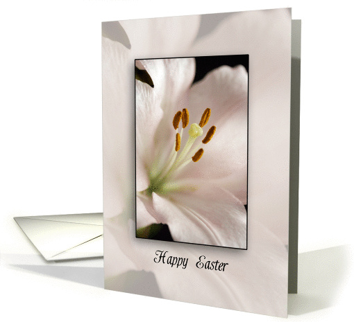 Easter Lily Flower card (351509)