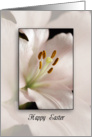 Easter Lily Flower card