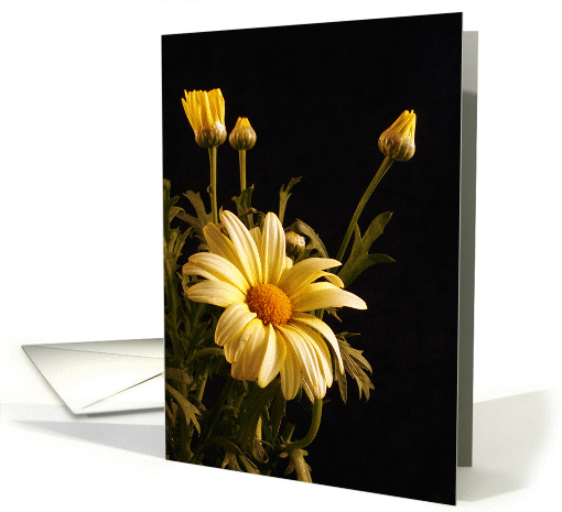 Yellow Daisies Blank Note card (367679)