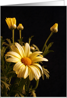 Yellow Daisies Blank Note Card