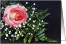 Pink Rose and Fern Blank Note Card