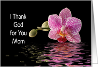 For Mom -Mother-Mother’s Day Greeting Card-Orchid and Reflection card