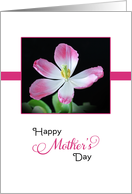 For Mom / For Mother...