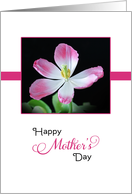 For Mom / For Mother Happy Mother’s Day Greeting Card-Pink Tulip card