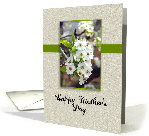 Mother's Day Paper card (417805)