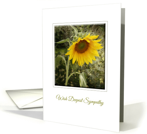 Sympathy Greeting Card-Sunflower Condolences card (452722)