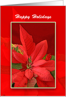 Red Poinsettia Christmas Greeting Card-Happy Holidays card