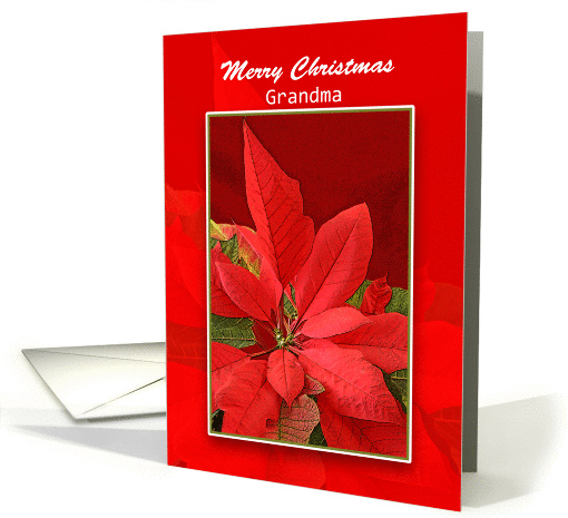 Christmas Greeting Card for Grandma/Grandmother-Poinsettia card