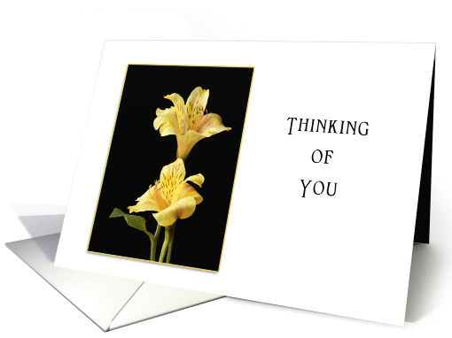 Thinking of You Greeting Card for Fibromyalgia-Yellow... (469753)