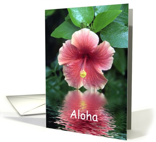 Hibiscus - Aloha card (476294)