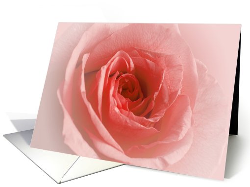 Blank Rose card (502009)