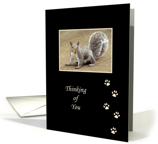 Thinking of You Squirrel Greeting Card with Paw Prints /... (517382)