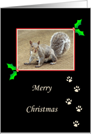 Squirrel Christmas Card-Paw Prints-Foot Prints-Merry Christmas card