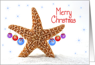 Starfish Christmas Greeting Card with Ornamen-Beach-Merry Christmas card