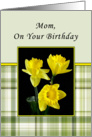 Mom Birthday Card-Green Plaid Daffodils card