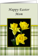 Mom Easter Card-Green Plaid Daffodils card