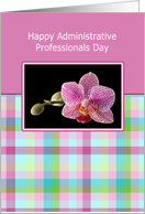 Administrative Professionals Day Greeting Card with Purple Orchid card