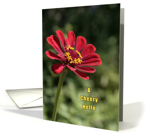 Dahlia Cheery Hello Note card (627706)