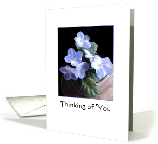 Thinking of You Greeting Card with Blue African Violet Flowers card