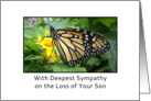 Loss of Son Sympathy, butterfly card