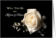 Be my Matron of Honor Greeting Card with White Rose and Babies Breath card