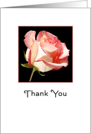 Thank You Greeting Card with Pink Rose card