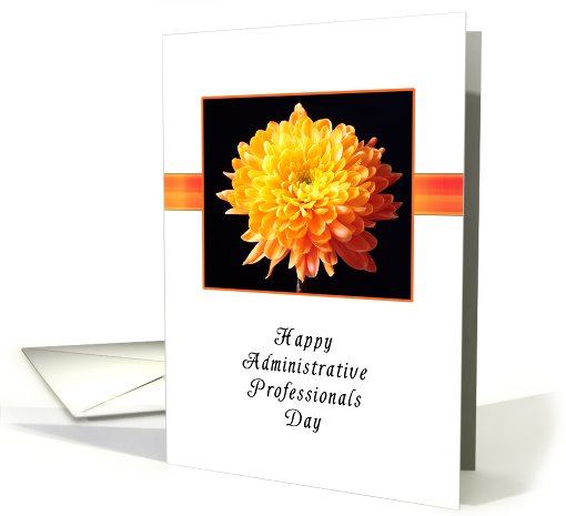 Administrative Professionals Day, Chrysanthemum card (667218)