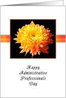 Administrative Professionals Day, Chrysanthemum card