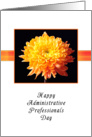 Administrative Professionals Day, Chrysanthemum card