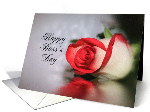 For Boss-Boss's Day Greeting Card with Rose and Reflection card