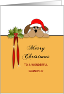 Grandson Christmas Greeting Card-Merry Christmas-Dog-Holly-Santa Hat card