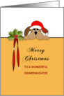 Granddaughter Merry Christmas Card with Dog and Holly card