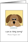 Apology, I am so Very Sorry Dog Card