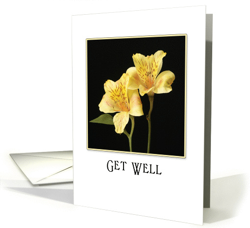 For Cancer Patient Encouragement Get Well Card-Life's... (750527)