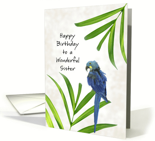 Sister Birthday Card with Parrot and Palms card (754530)