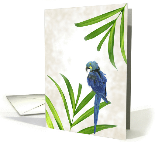 Blank Note Card with Parrot and Palms card (754542)