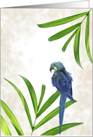 Blank Note Card with Parrot and Palms card