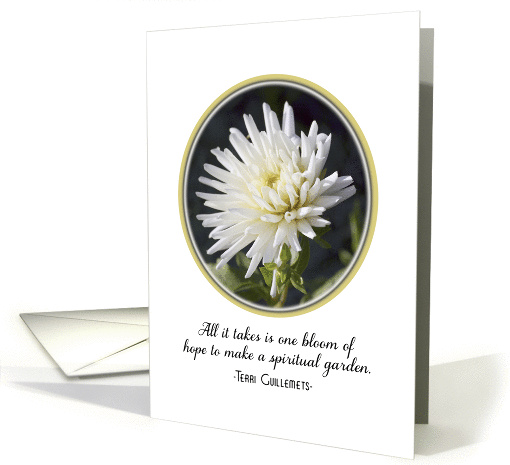 Hope Card With White Flower in Garden card (768122)