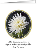 Hope Card With White Flower in Garden-One Bloom of Hope card