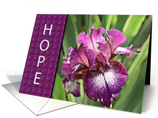For Cancer Patient - Hope Encouragement Greeting Card with... (802364)