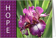 For Cancer Patient - Hope Encouragement Greeting Card with Purple Iris card