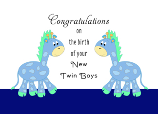 New Twin Boys / New...