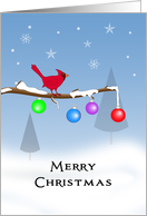 Christmas Card with Cardinal in Tree and Ornaments-Merry Christmas card