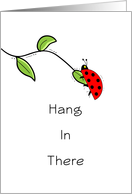 Cheer Up-Hang In There Greeting Card with Lady Bug Hanging on a Leaf card