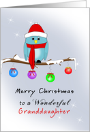 Granddaughter Christmas Card with Blue Bird, Red Hat, Scarf, Boots card